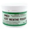 Colorant Poudre Vert Menthe E102/E131 - Hydrosoluble - 100 G - Mallard Ferrière -Magasin De Cuisine À Domicile colorant poudre vert menthe 1 main 650