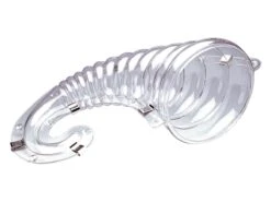 Corne D'abondance Annelée - En Vivak - Mallard Ferrière