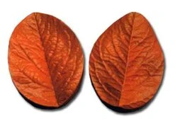 Empreinte Silicone Grande Feuille De Rose - Déco Relief