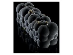 Moule à Bûche Silicone - Atomic - 25 X 8 Cm - Pavoni