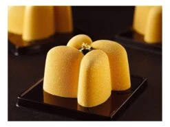 Moule Silicone Pavoflex - 24 Hélices - 60 X 40 Cm - Pavoni