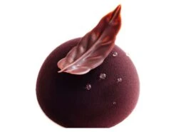 Peigne à Chocolat - Décor Pétale - Martellato -Magasin De Cuisine À Domicile peigne chocolat motif petale 2 main 650